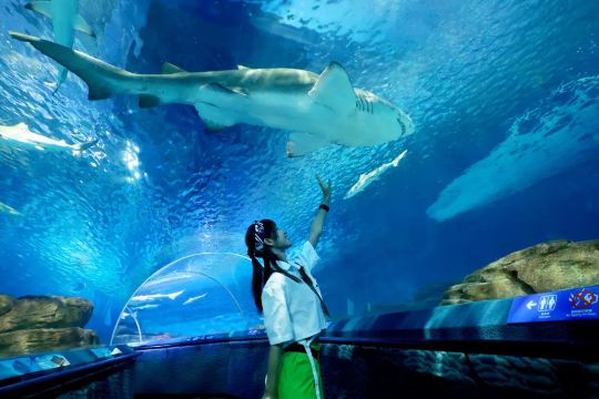 上海海洋水族館