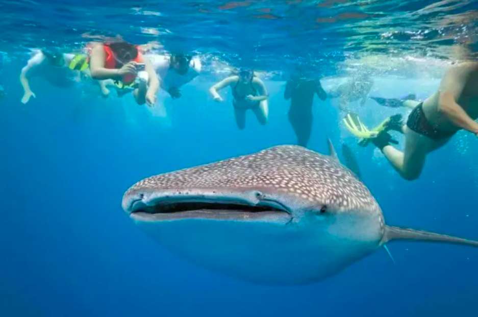 ฟิลิปปินส์