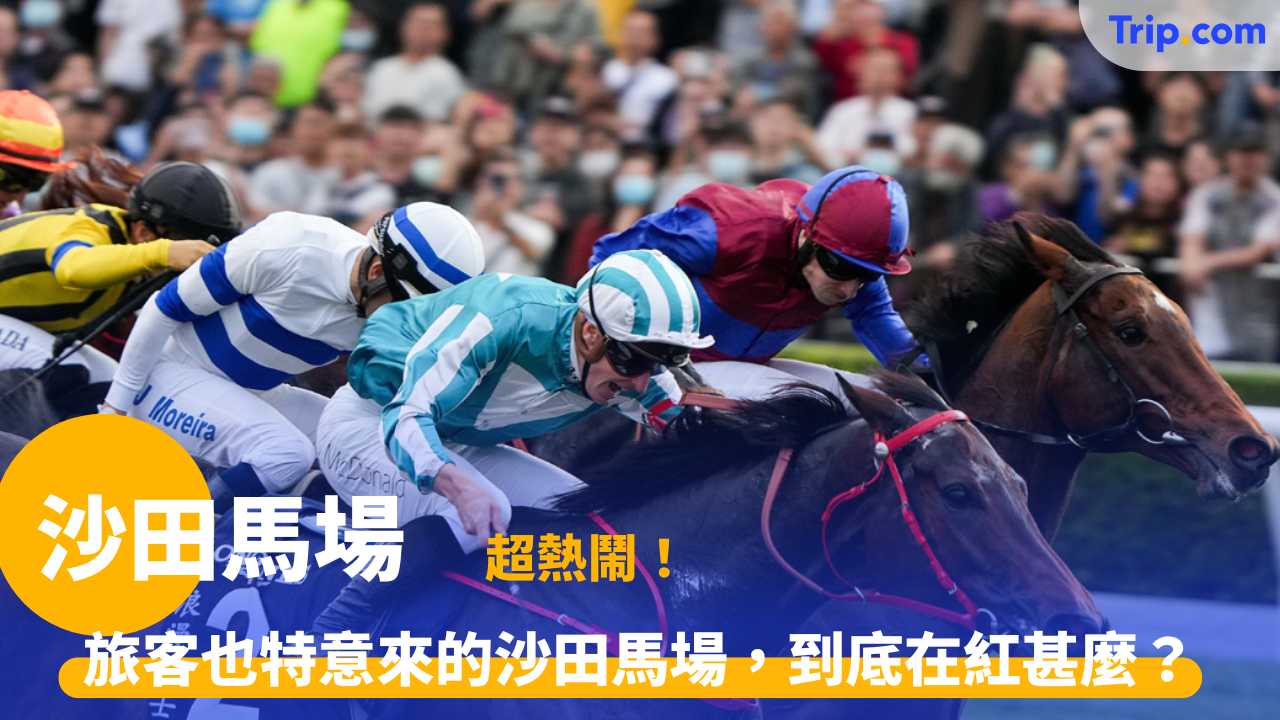 沙田馬場  | 簡介
