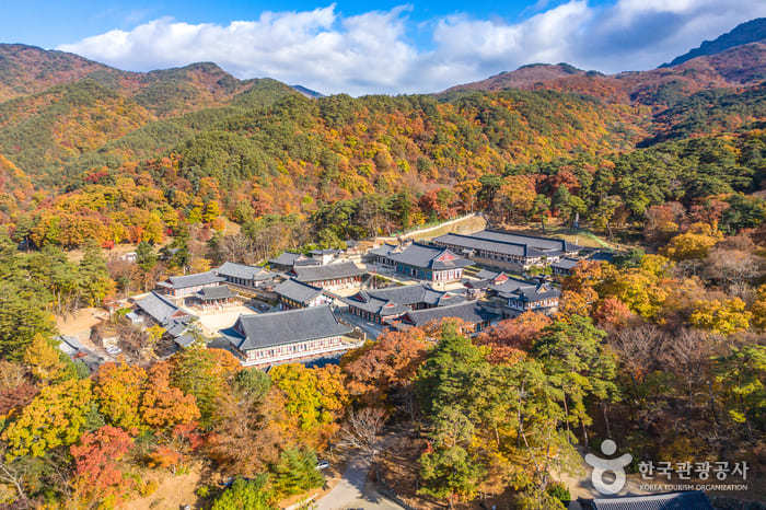 경남 여행, 합천