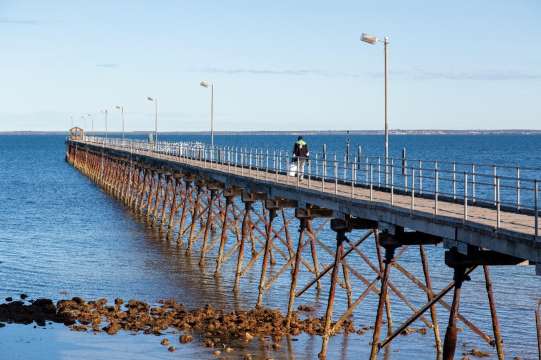 Ceduna