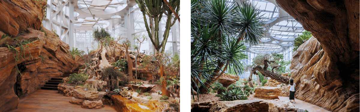 L'intérieur du Shanghai Greenhouse Garden, avec ses rochers artificiels, ses cactus et ses sentiers au cœur de la serre.
