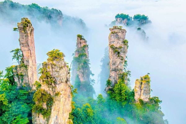 อุทยานแห่งชาติจางเจียเจี้ย