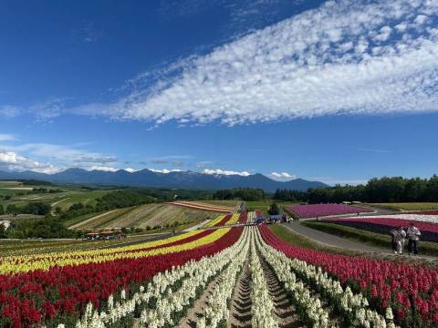 JR Pass ฮอกไกโด