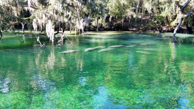 Orlando Road Trip Planner: Cheap Car Rentals & Theme Park Drive Hacks | Trip.com
