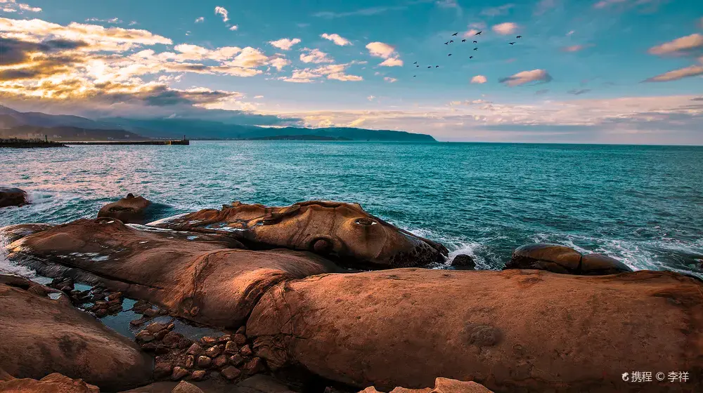 貓空及台北著名景點一日遊