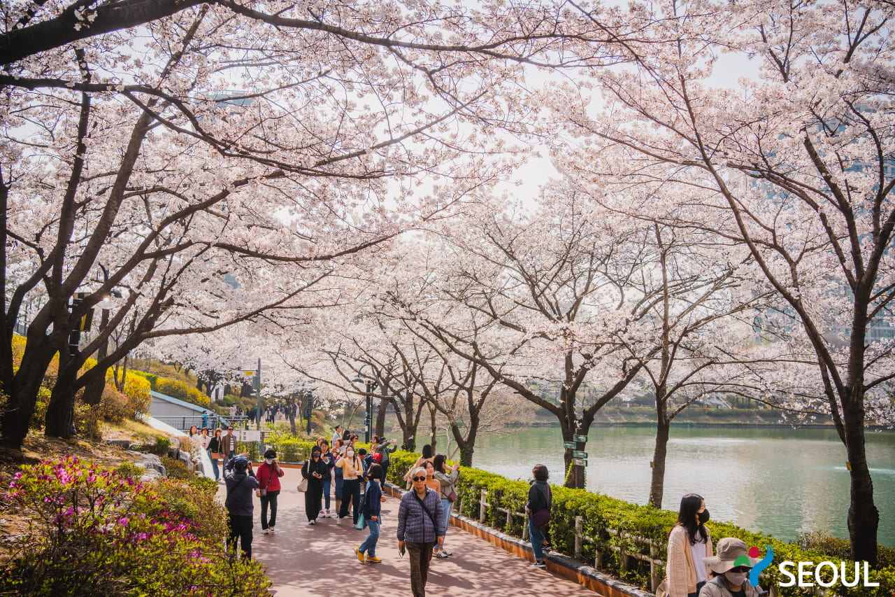 서울 개화 시기, 석촌호수