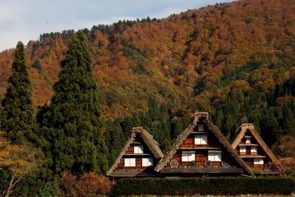 豐田白川鄉自然學校