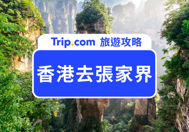 香港去張家界