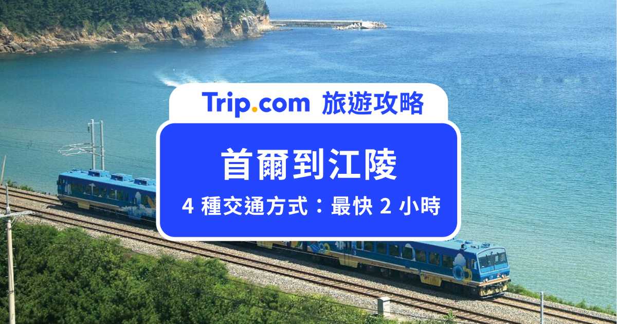【首爾到江陵】火車、巴士怎麼選？一日來回交通攻略   