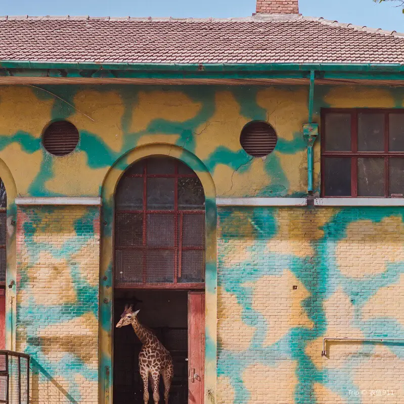北京動物園長頸鹿館