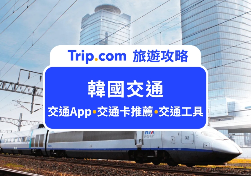 2025 韓國交通超實用攻略！韓國交通卡推薦、必備交通 App 一次手把手教學