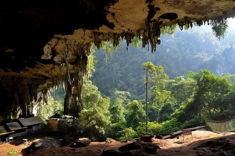 Beautiful Miri nature