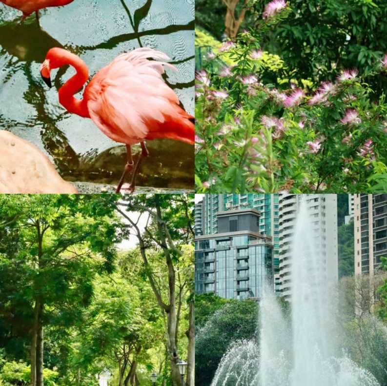 พาลูกเที่ยวฮ่องกง