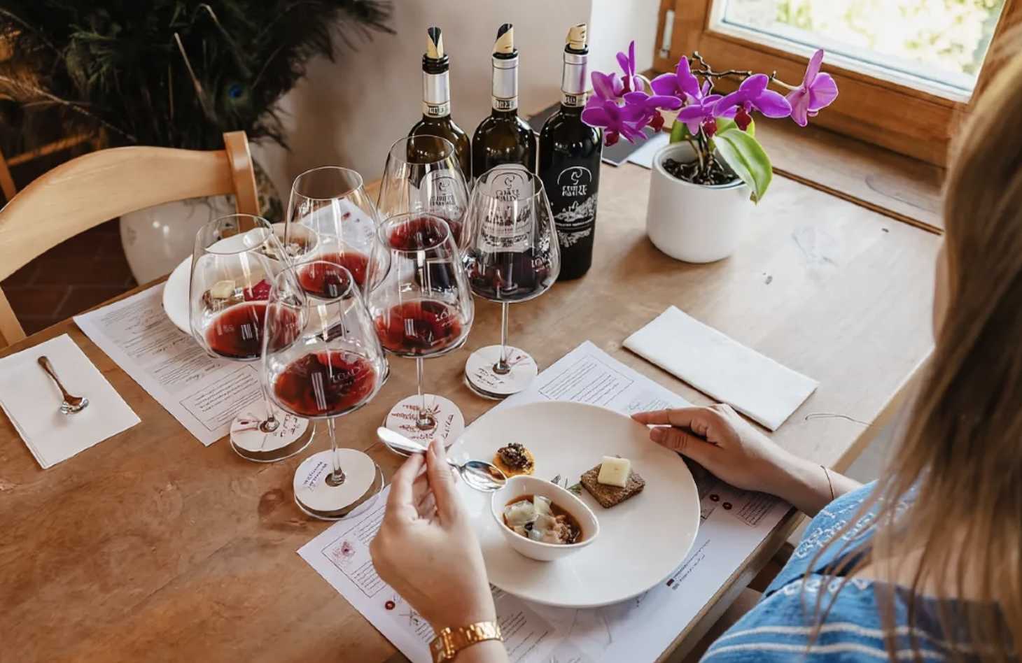 이탈리아 와이너리 투어 피에몬테