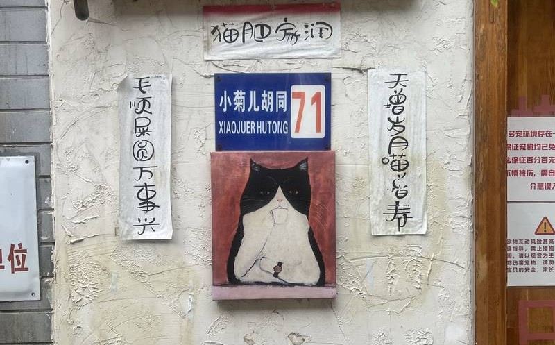 Cat artwork beside a Xiaojuer Hutong sign in Beijing