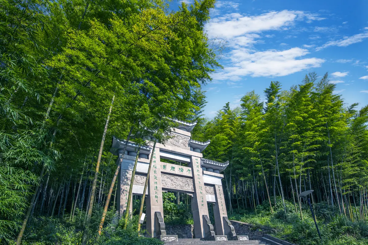 成都到重慶, 自駕景點, 茶山竹海