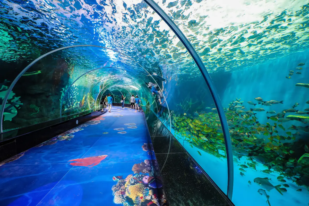 永泰歐樂堡海洋世界