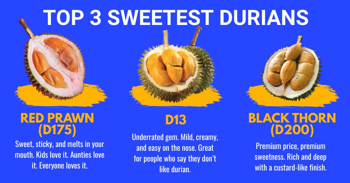 Top 3 Sweetest Durians
