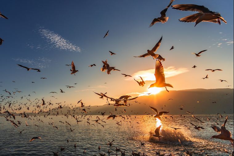 เที่ยวคุนหมิงฤดูหนาว