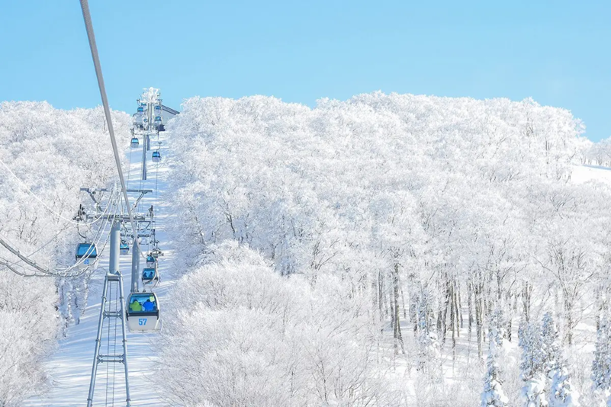 秋田森吉山阿仁滑雪場