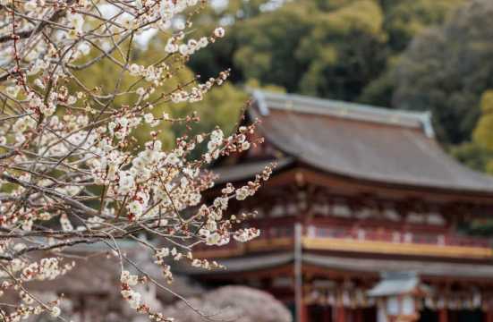 후쿠오카 2월축제