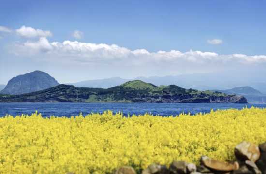 나홀로 여행 혼자