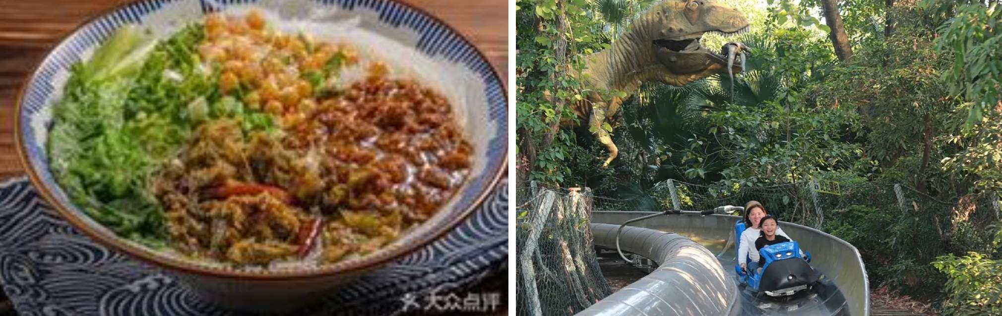 世界之窗 | 叢林餐廳