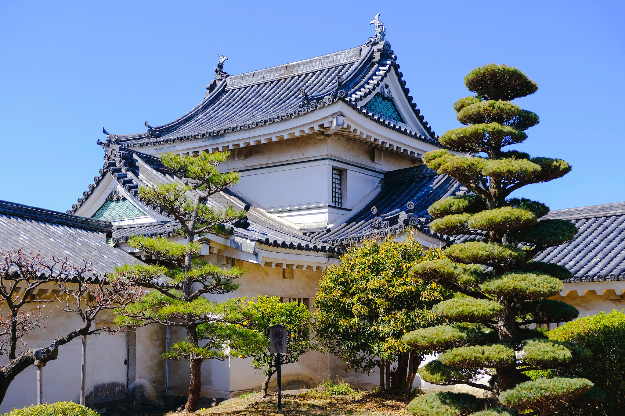 和歌山景點 #3 和歌山城