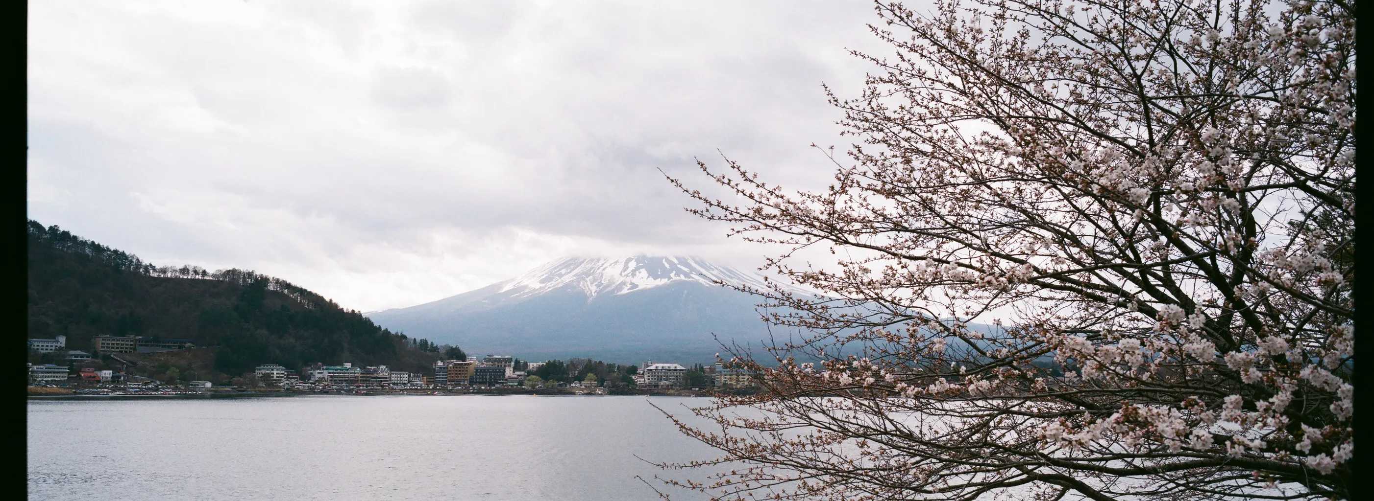 富士山幾月沒有白頭
