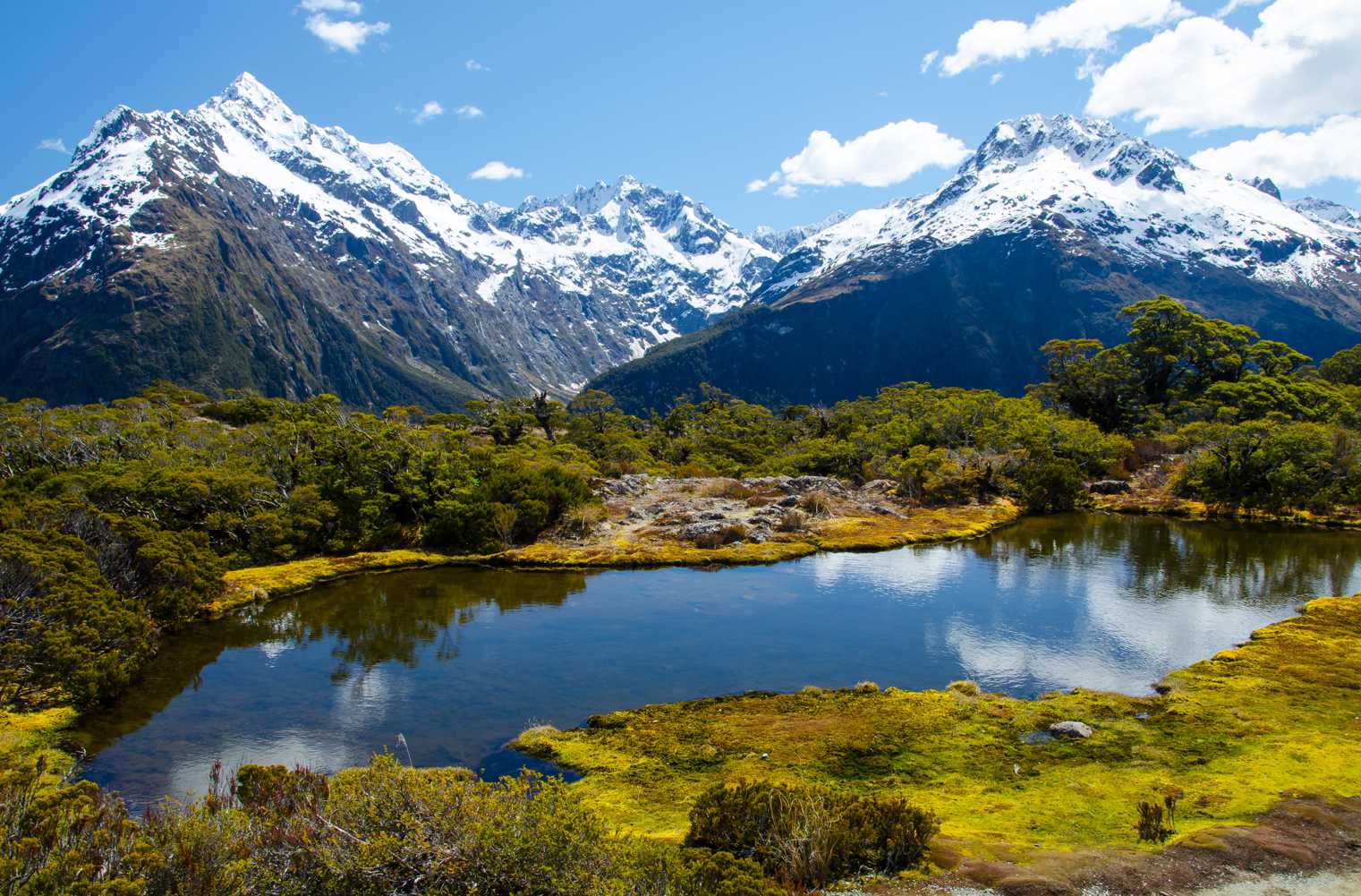 นิวซีแลนด์ - วางแผนทริปผู้สูงอายุ