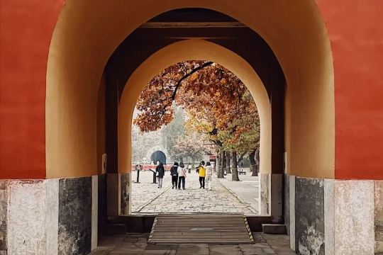 Traditional Chinese arched gateway leading to a tree-lined courtyard