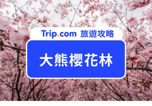 2026 大熊櫻花林：6 品種櫻花隧道！門票、交通、必拍一次看 | Trip.com