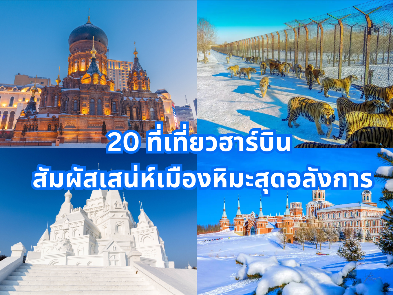 ที่เที่ยวฮาร์บิน