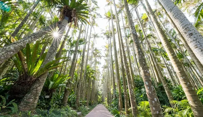 東南植物樂園