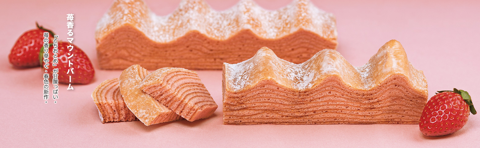 Ginza Ninrinya Annual Ring House