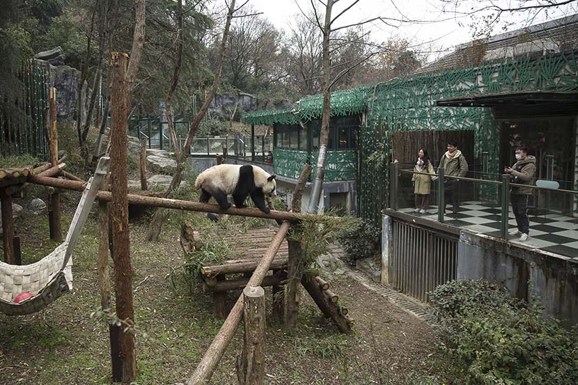 중국 난징, 홍산삼림동물원