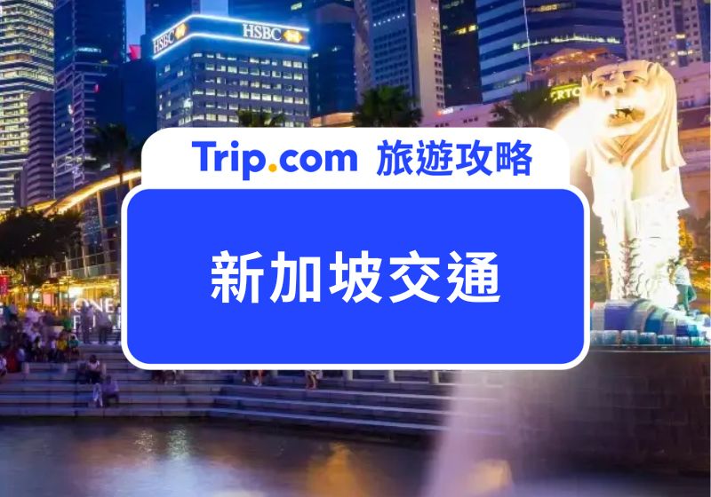 新加坡交通