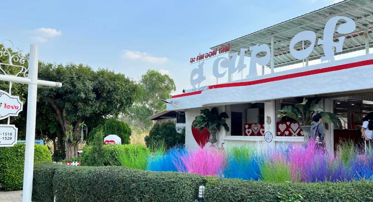 A Cup of Love - ที่เที่ยววังน้ำเขียว