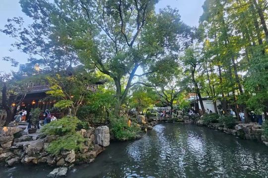 Traditional Chinese garden with a pond, stone paths, and shaded seating in Shanghai