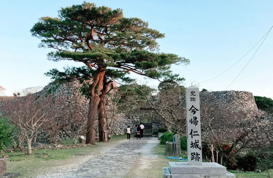沖繩賞櫻景點 #2 今歸仁城