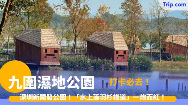 九圍濕地公園 2026 深圳新開發公園！「水上落羽杉棧道」一炮而紅！打卡必去！