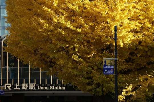 Park Exit สถานีอุเอโนะ