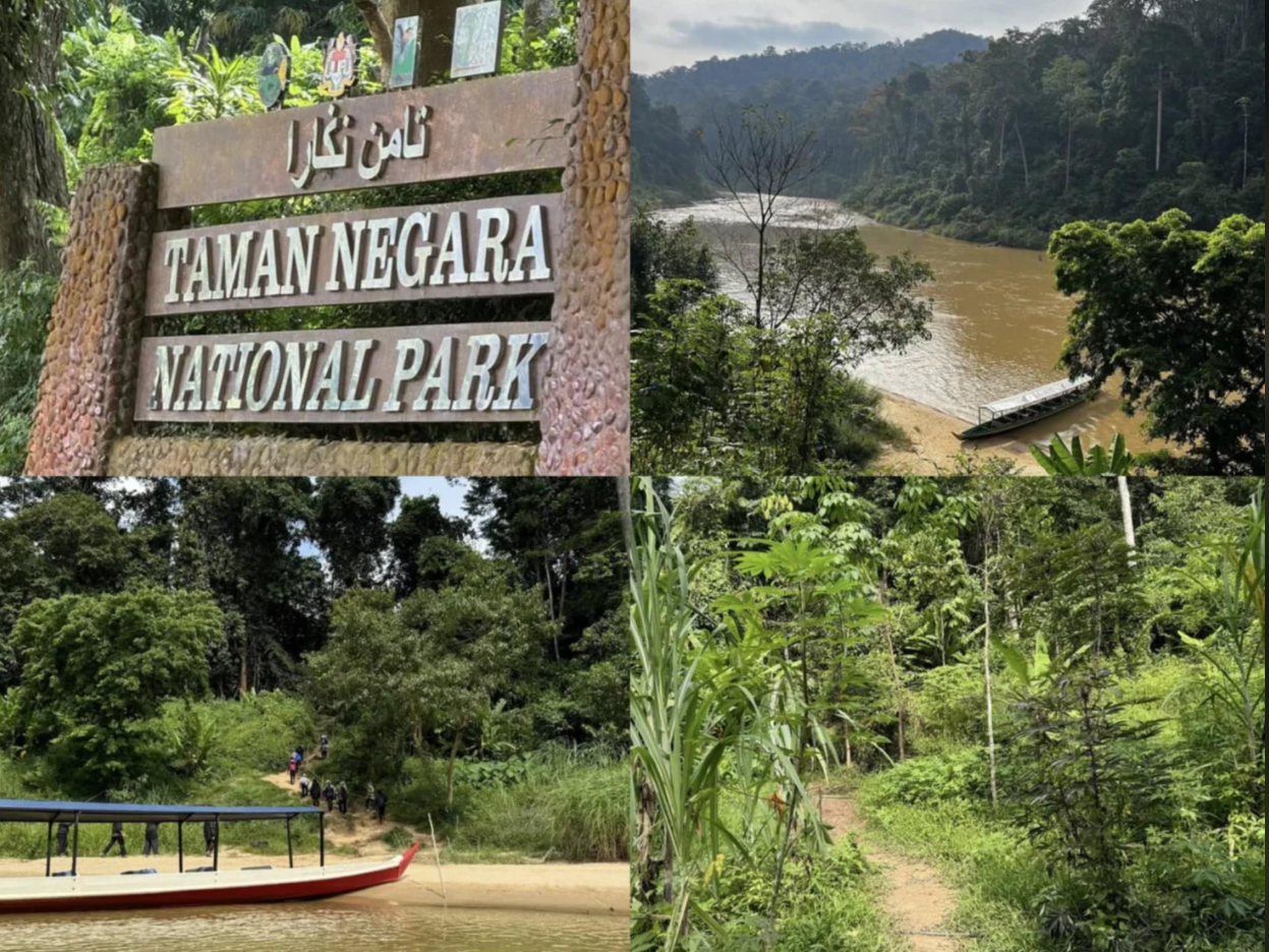 Taman Negara