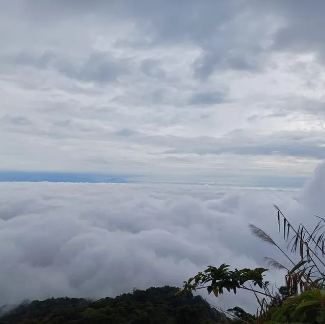 Ba Vi National Park