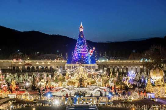 겨울 당일치기 여행 에버랜드