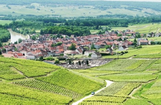 프랑스 와이너리