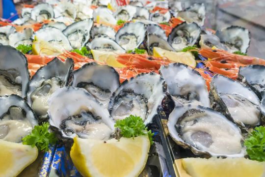  Sydney Fish Market 生蠔