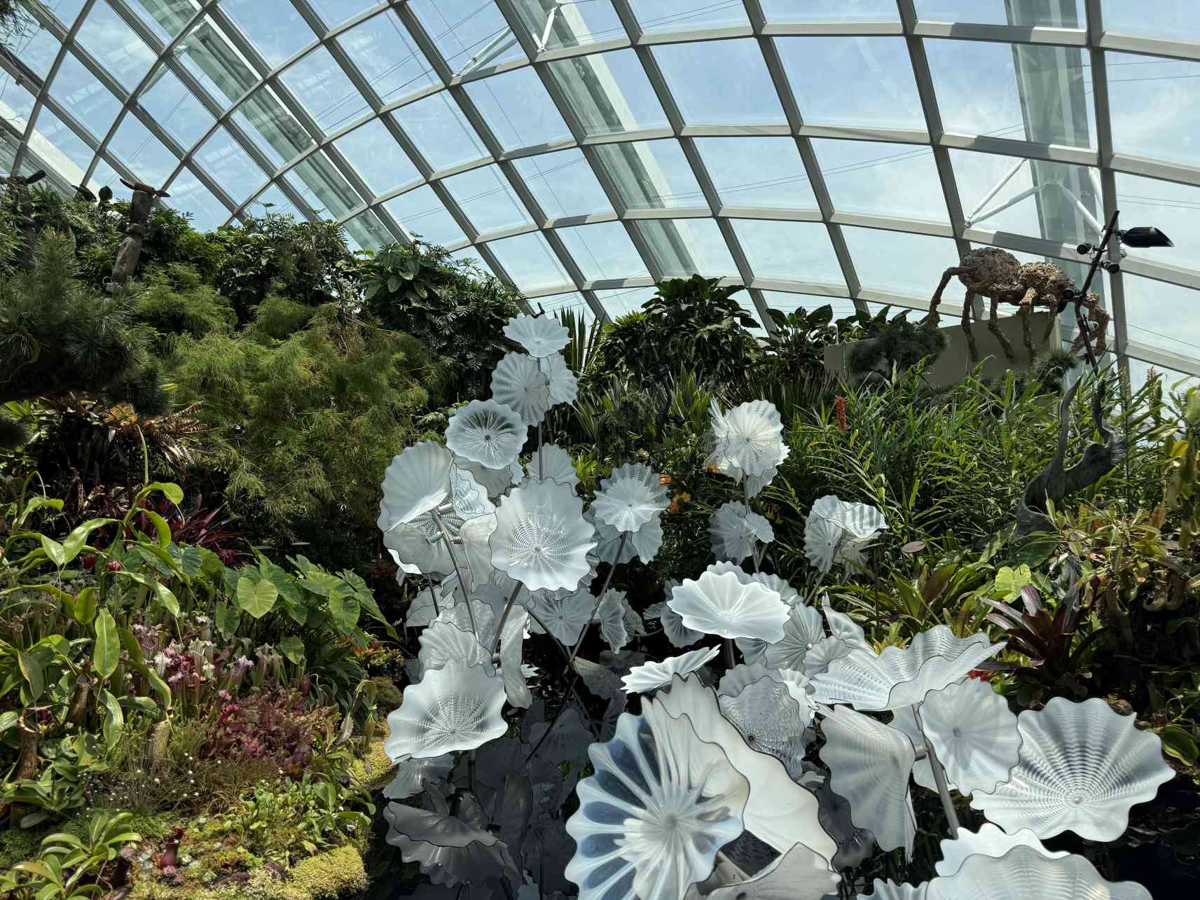 คลาวด์ ฟอเรสต์ (Cloud Forest)