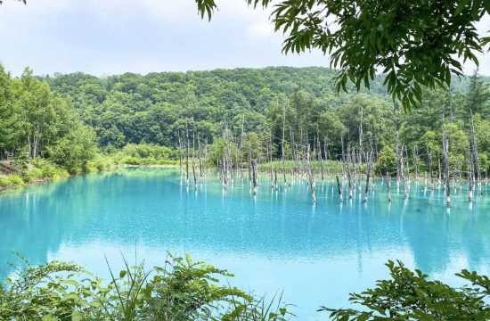 홋카이도 날씨 비에이